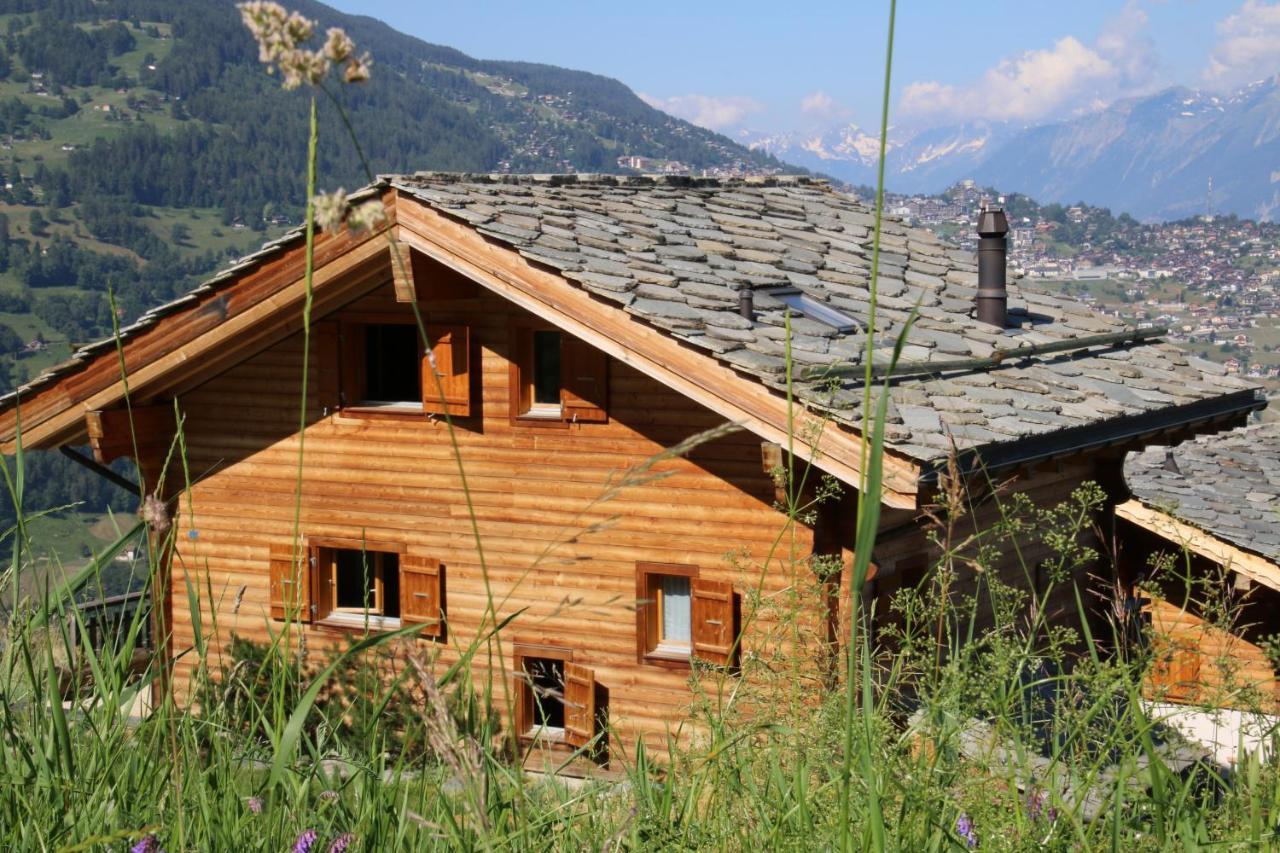 Christoph STANDING&CALM chalet 10 pers by Alpvision Résidences Veysonnaz Exterior foto